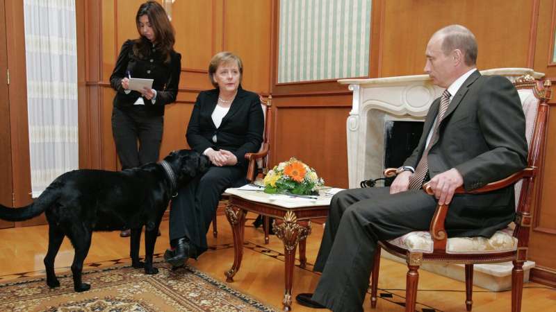 peskov-prokommentiroval-vyskazyvanija-v-memuarah-merkel-o-putine-0a56775.jpg
