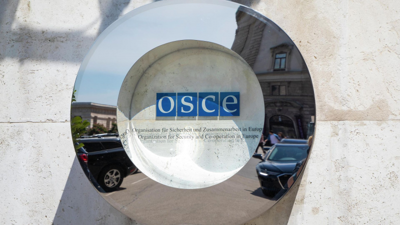 Лукашевич прокомментировал заявление нового генсека ОБСЕ